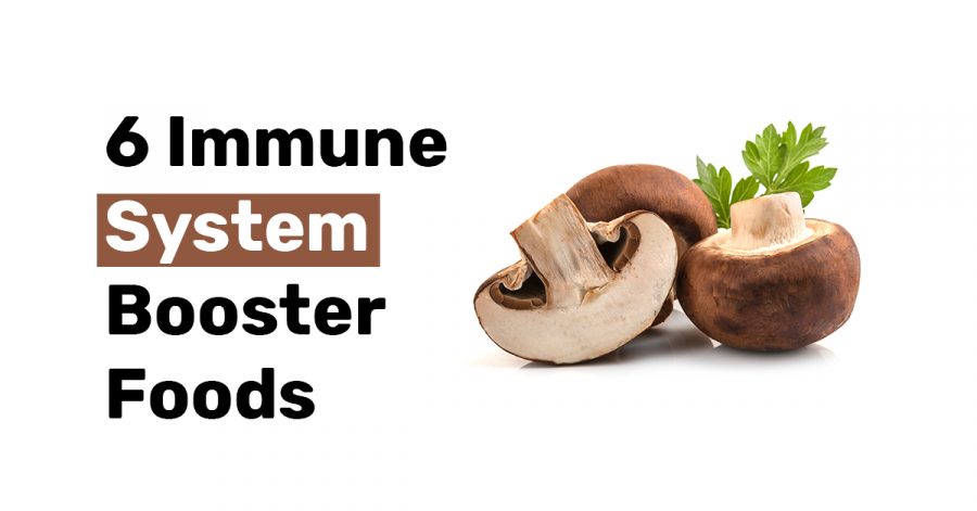 6 Immune System Booster Foods