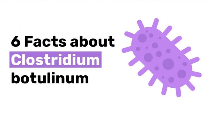 6 Facts about Clostridium botulinum
