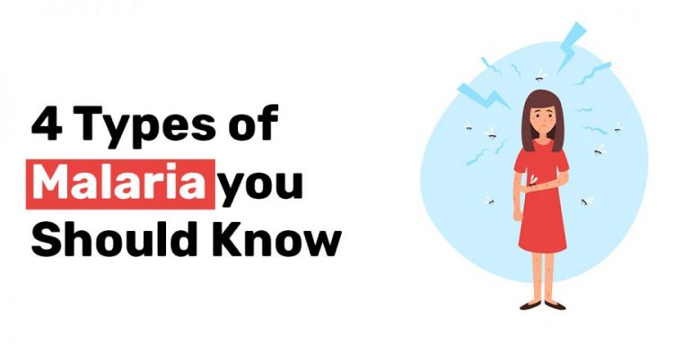 4 Types of Malaria you Should Know