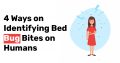 4 Ways on Identifying Bed Bug Bites on Humans