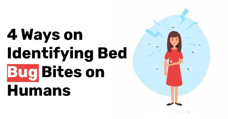 4 Ways on Identifying Bed Bug Bites on Humans