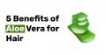 5 Benefits of Aloe Vera for Hair.jpg1