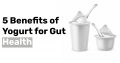 5 Benefits of Yogurt for Gut Health