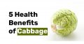 5 Health Benefits of Cabbage