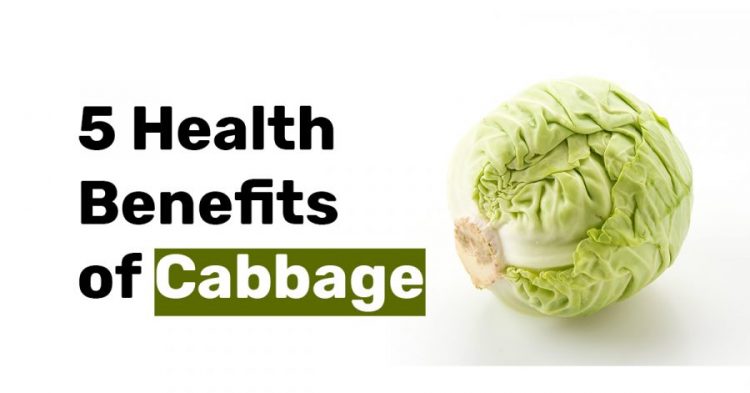 5 Health Benefits of Cabbage