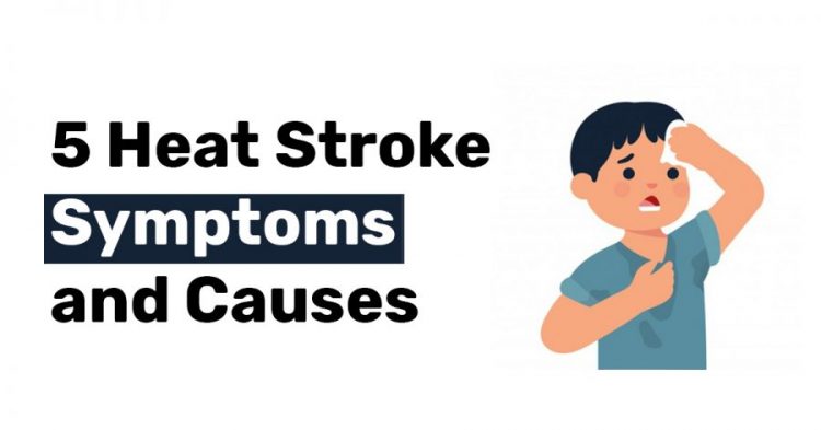 5 Heat Stroke Symptoms and Causes