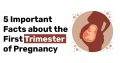 5 Important Facts about the First Trimester of Pregnancy