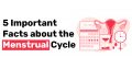 5 Important Facts about the Menstrual Cycle