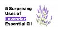 5 Surprising Uses of Lavender Essential Oil