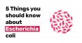 5 Things you should know about Escherichia coli