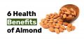 6 Health Benefits of Almond