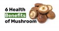 6 Health Benefits of Mushroom
