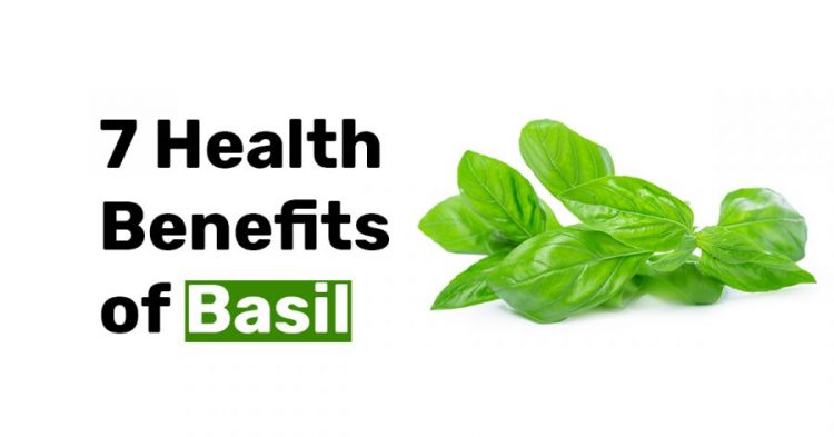 7 Health Benefits of Basil.jpg1