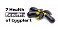 7 Health Benefits of Eggplant