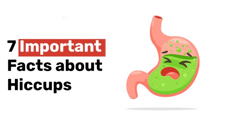 7 Important Facts about Hiccups