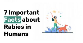 7 Important Facts about Rabies in Humans