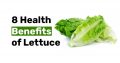 8 Health Benefits of Lettuce