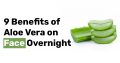 9 Benefits of Aloe Vera on Face Overnight