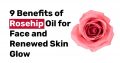 9 Benefits of Rosehip Oil for Face and Renewed Skin Glow