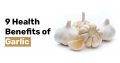 9 Health Benefits of Garlic 1