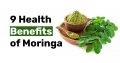 9 Health Benefits of Moringa
