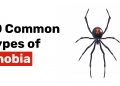 10 Common Types of Phobia