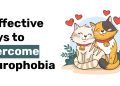 6 Effective Ways to Overcome Ailurophobia