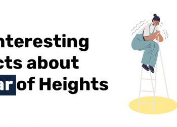 6 Interesting Facts about Fear of Heights