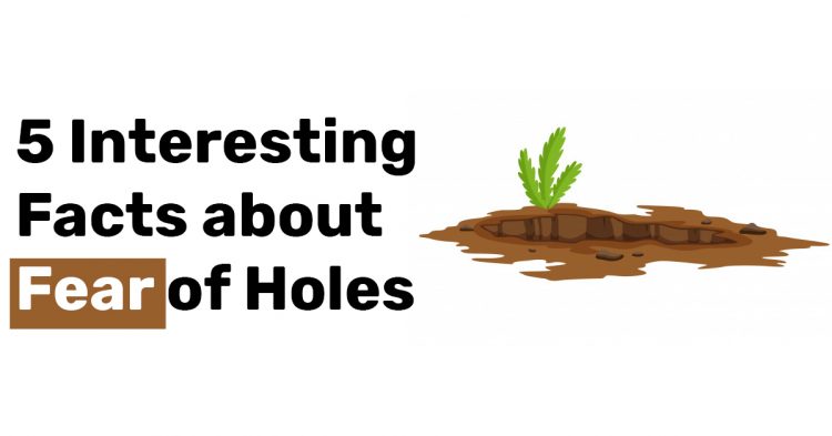 5 Interesting Facts about Fear of Holes